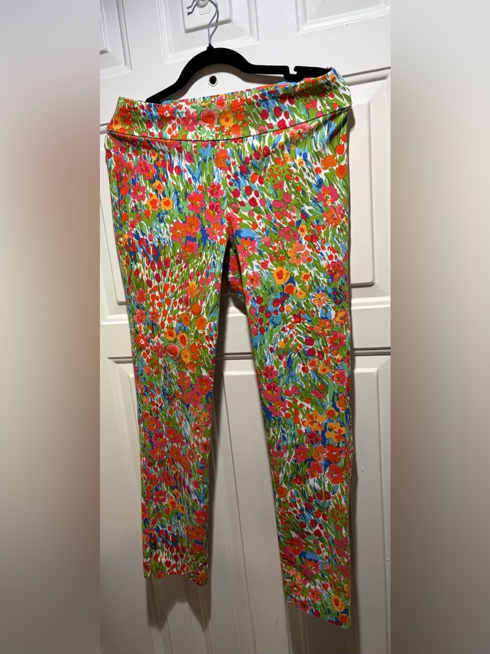 J.McLaughlin Floral Pull-On Ankle Pants Size 8
